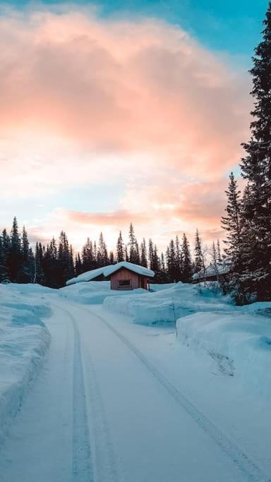 Cozy Mountain Cottage With Beautiful Views & Sauna Beitostolen Buitenkant foto
