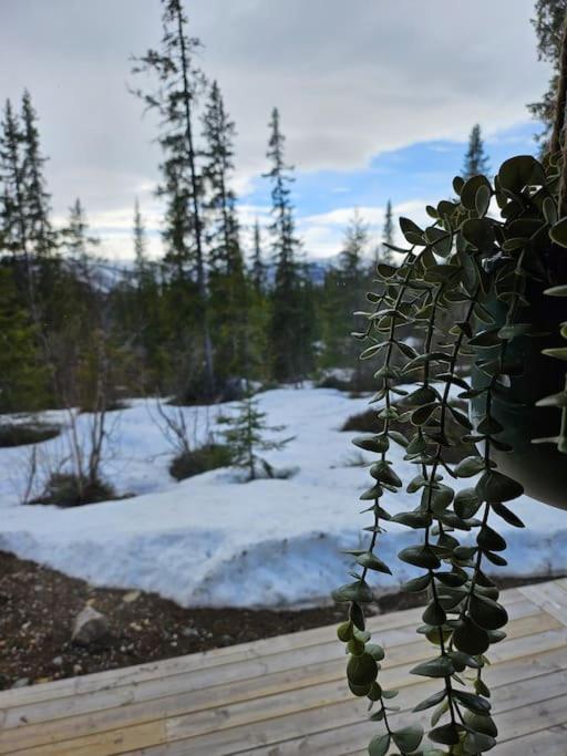 Cozy Mountain Cottage With Beautiful Views & Sauna Beitostolen Buitenkant foto